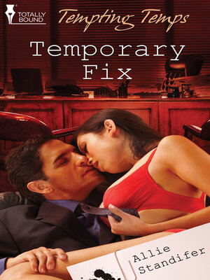 cover image of Temporary Fix